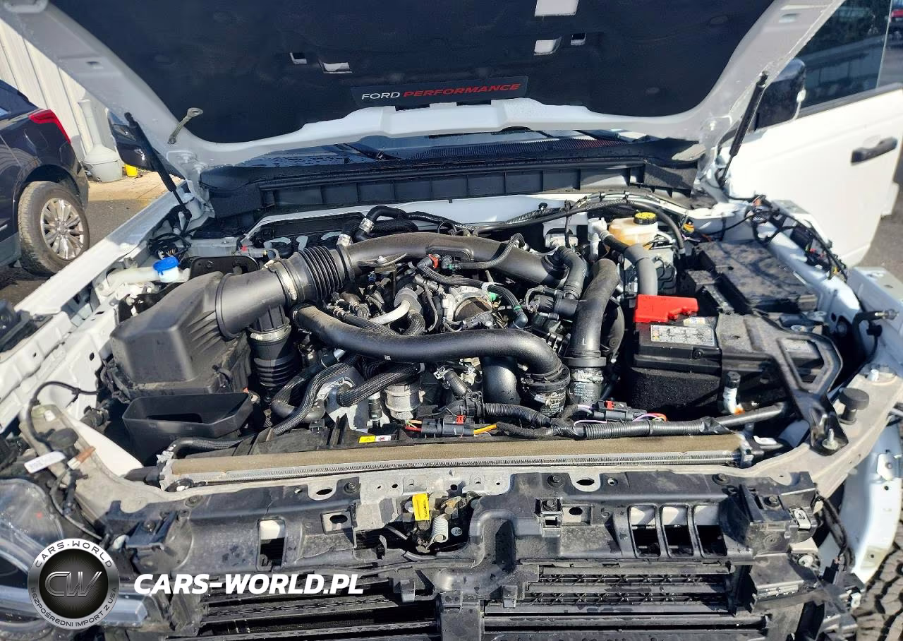 2025 Ford Bronco Raptor VIN:1FMEE0RR8SLA48710 - 12