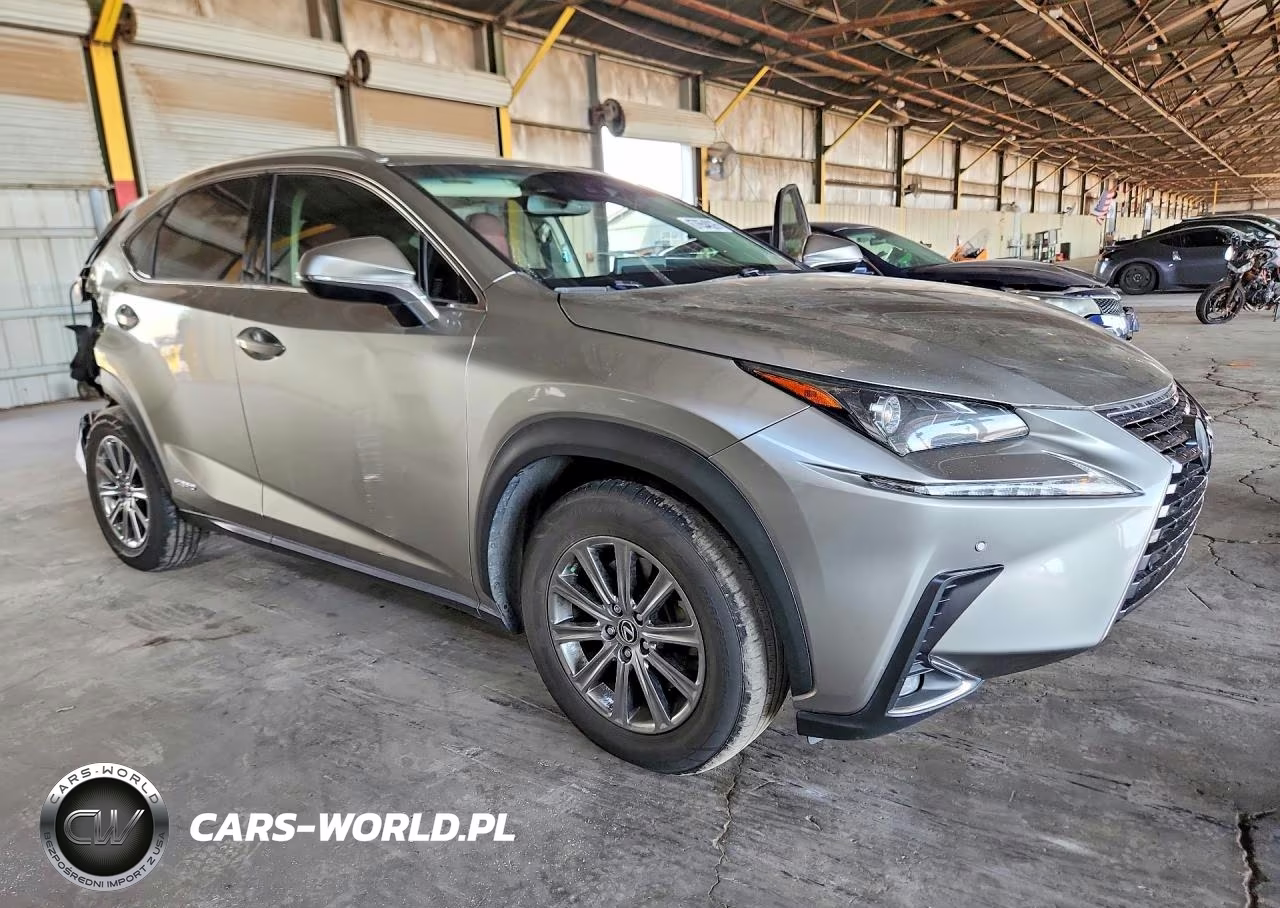 2018 Lexus Nx 300H VIN:JTJBJRBZ4J2090682 - 4
