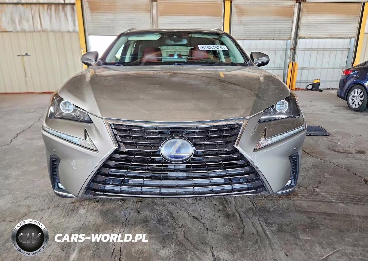 2018 Lexus Nx 300H VIN:JTJBJRBZ4J2090682 - 5