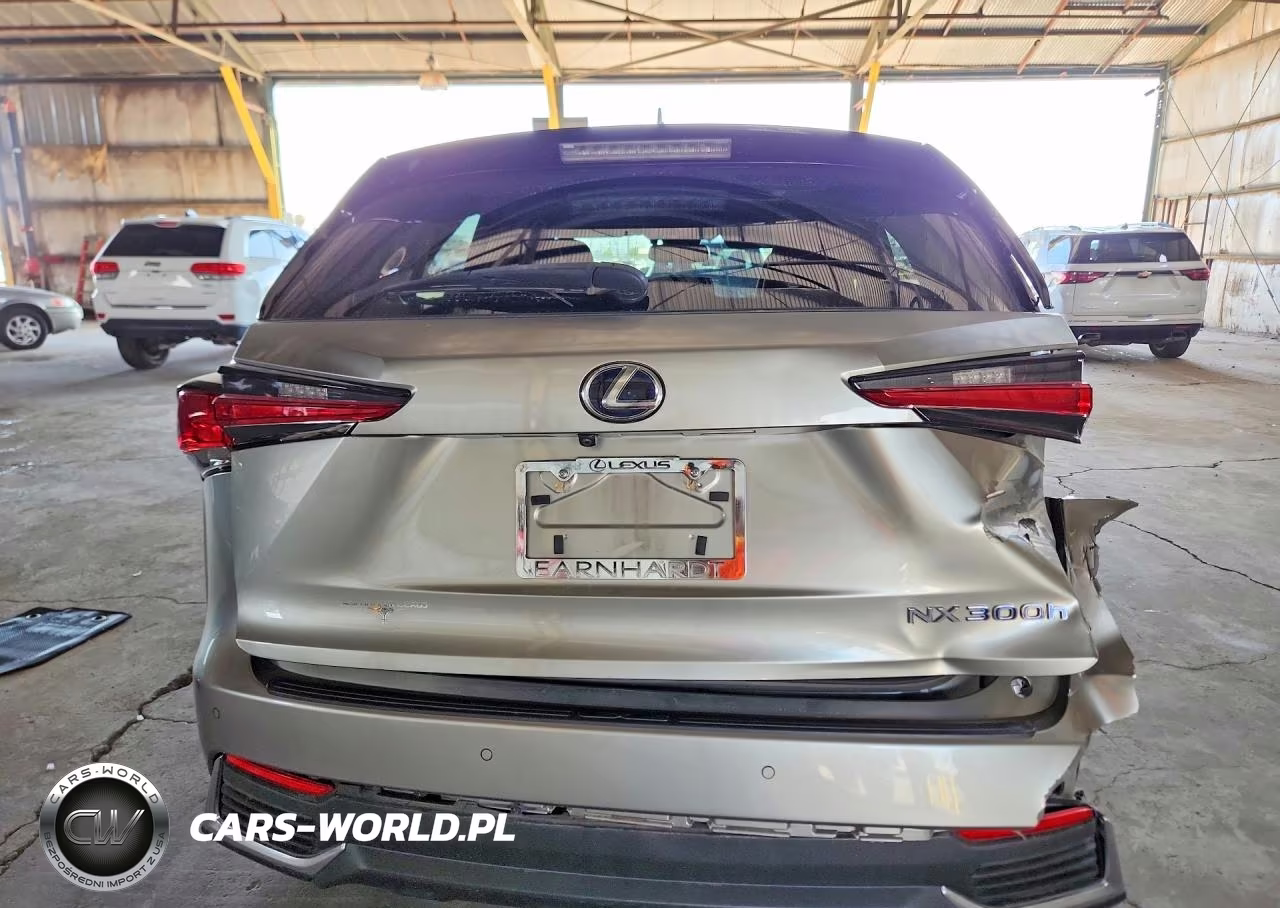 2018 Lexus Nx 300H VIN:JTJBJRBZ4J2090682 - 6