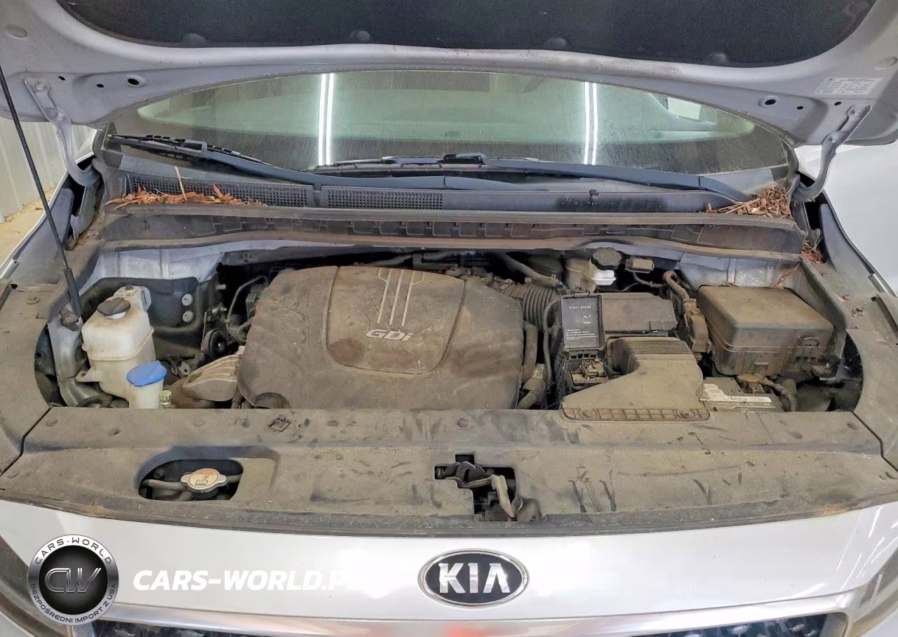 2018 Kia Sedona Sx VIN:KNDMC5C13J6348819 - 11