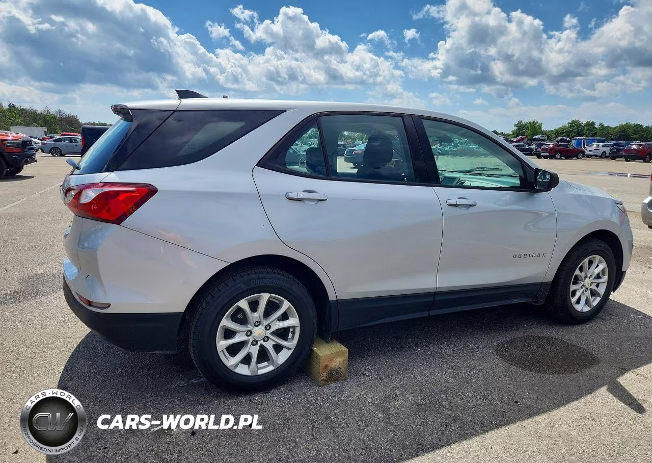 2019 Chevrolet Equinox Ls VIN:2GNAXHEV3K6176495 - 3
