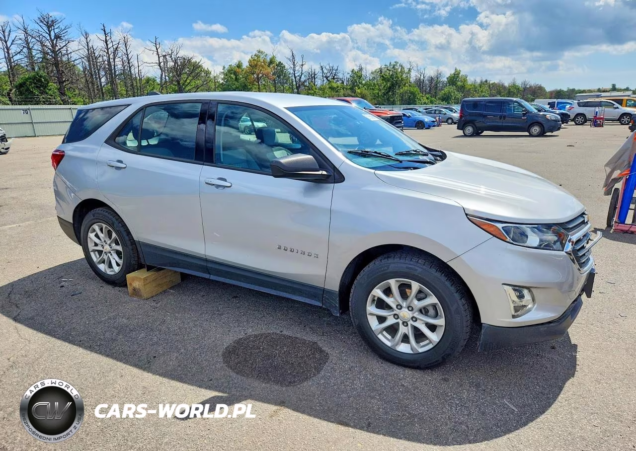 2019 Chevrolet Equinox Ls VIN:2GNAXHEV3K6176495 - 4