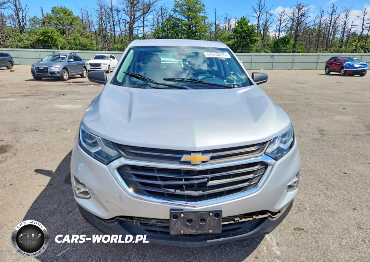 2019 Chevrolet Equinox Ls VIN:2GNAXHEV3K6176495 - 5