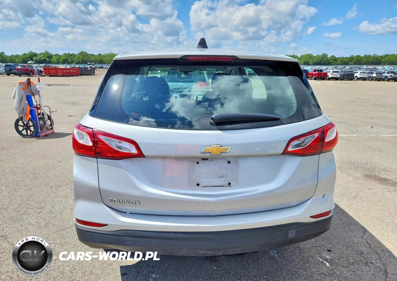 2019 Chevrolet Equinox Ls VIN:2GNAXHEV3K6176495 - 6