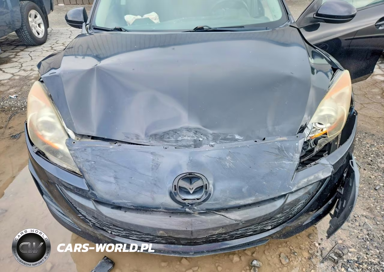 2010 Mazda 3 I VIN:JM1BL1SG3A1286065 - 11