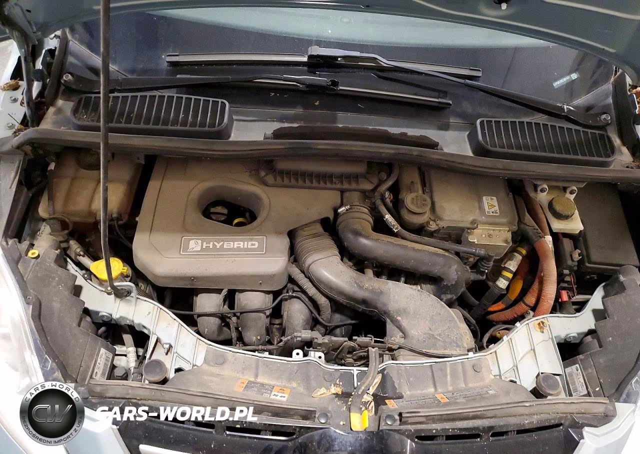 2014 Ford C-Max Sel VIN:1FADP5BU2EL501431 - 12