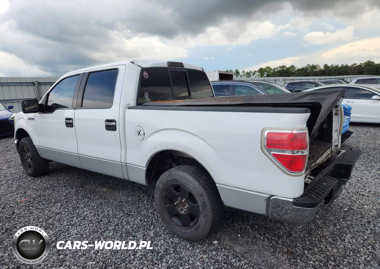 2009 Ford F150 Supercrew VIN:1FTPW12VX9FA52161 - 2