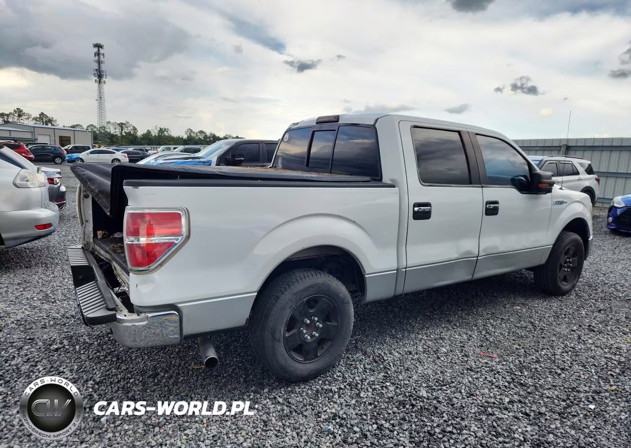 2009 Ford F150 Supercrew VIN:1FTPW12VX9FA52161 - 3