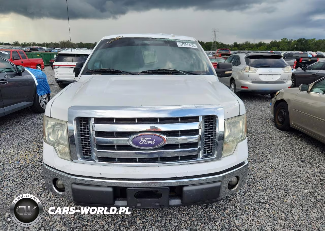 2009 Ford F150 Supercrew VIN:1FTPW12VX9FA52161 - 5