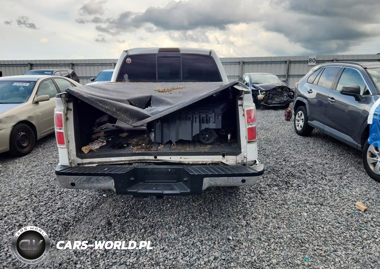 2009 Ford F150 Supercrew VIN:1FTPW12VX9FA52161 - 6