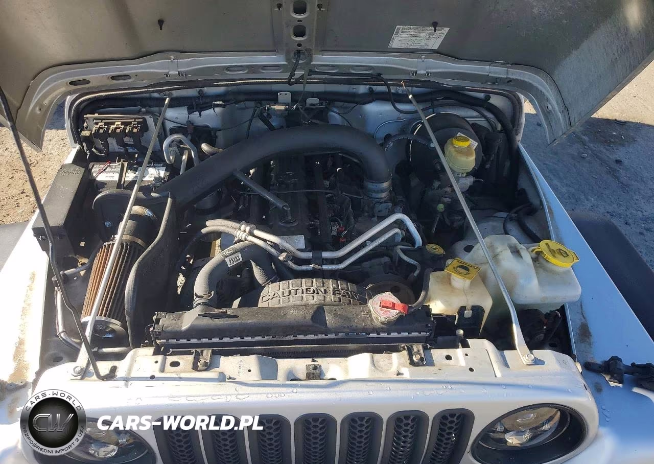 2004 Jeep Wrangler X VIN:1J4FA39S24P797436 - 11