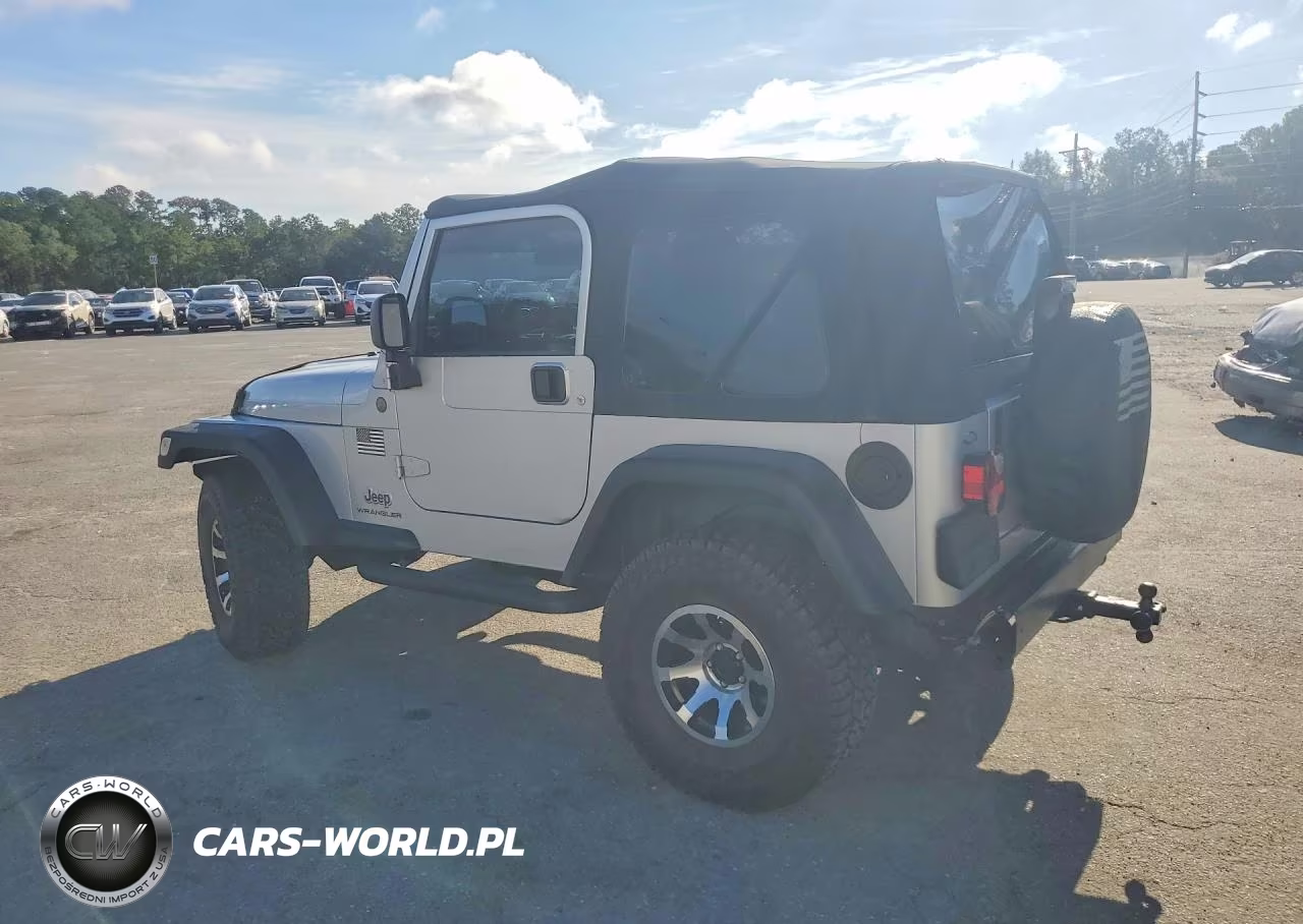 2004 Jeep Wrangler X VIN:1J4FA39S24P797436 - 2