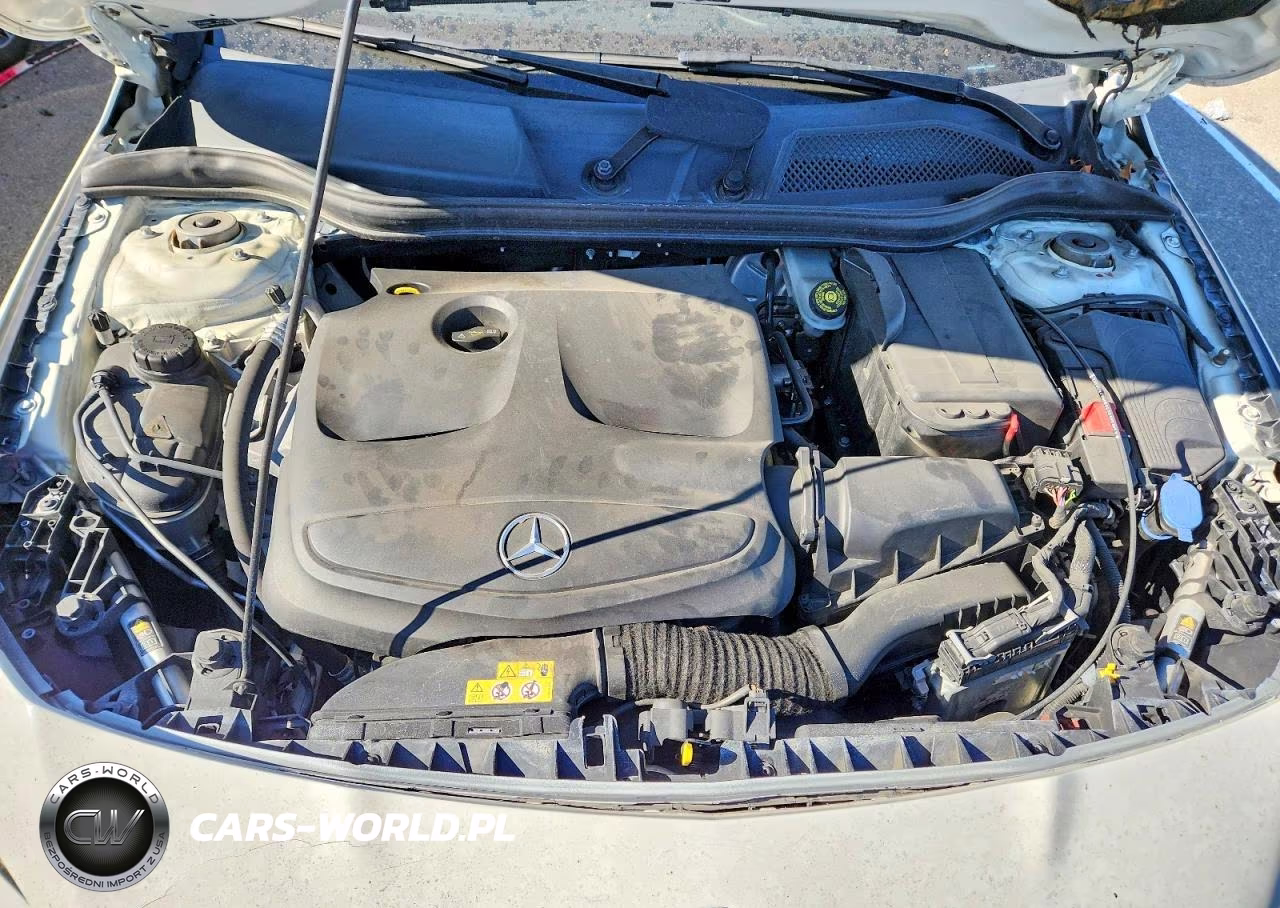 2014 Mercedes-Benz Cla 250 VIN:WDDSJ4EB3EN140048 - 11
