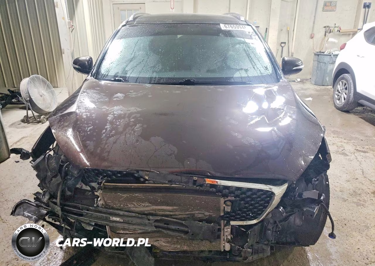 2016 Kia Sorento Ex VIN:5XYPHDA55GG128960 - 5