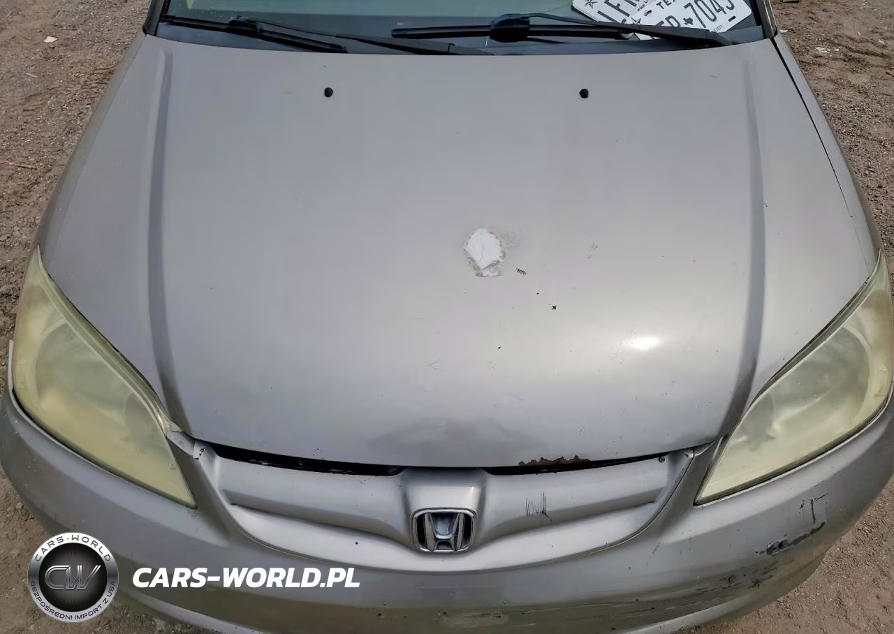 2004 Honda Civic Lx VIN:2HGES165X4H525160 - 11
