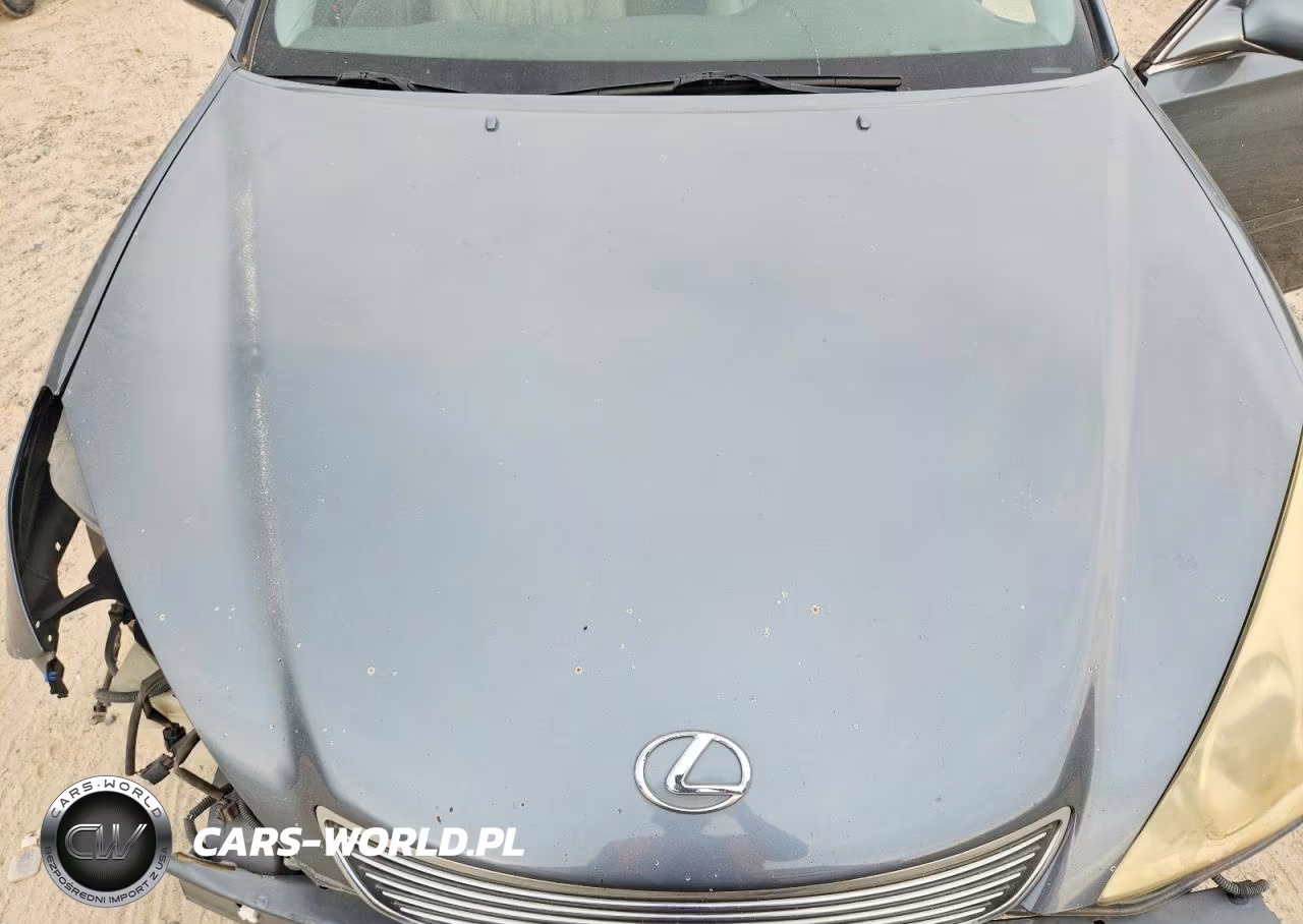 2006 Lexus Es 330 VIN:JTHBA30G765168037 - 11
