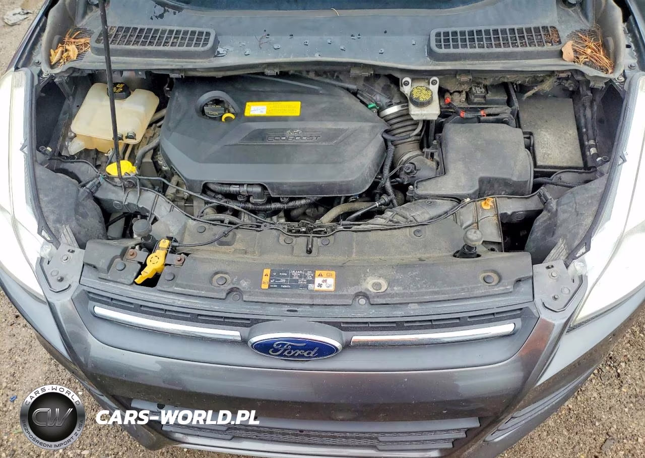 2015 Ford Escape Se VIN:1FMCU0GX9FUC69924 - 12
