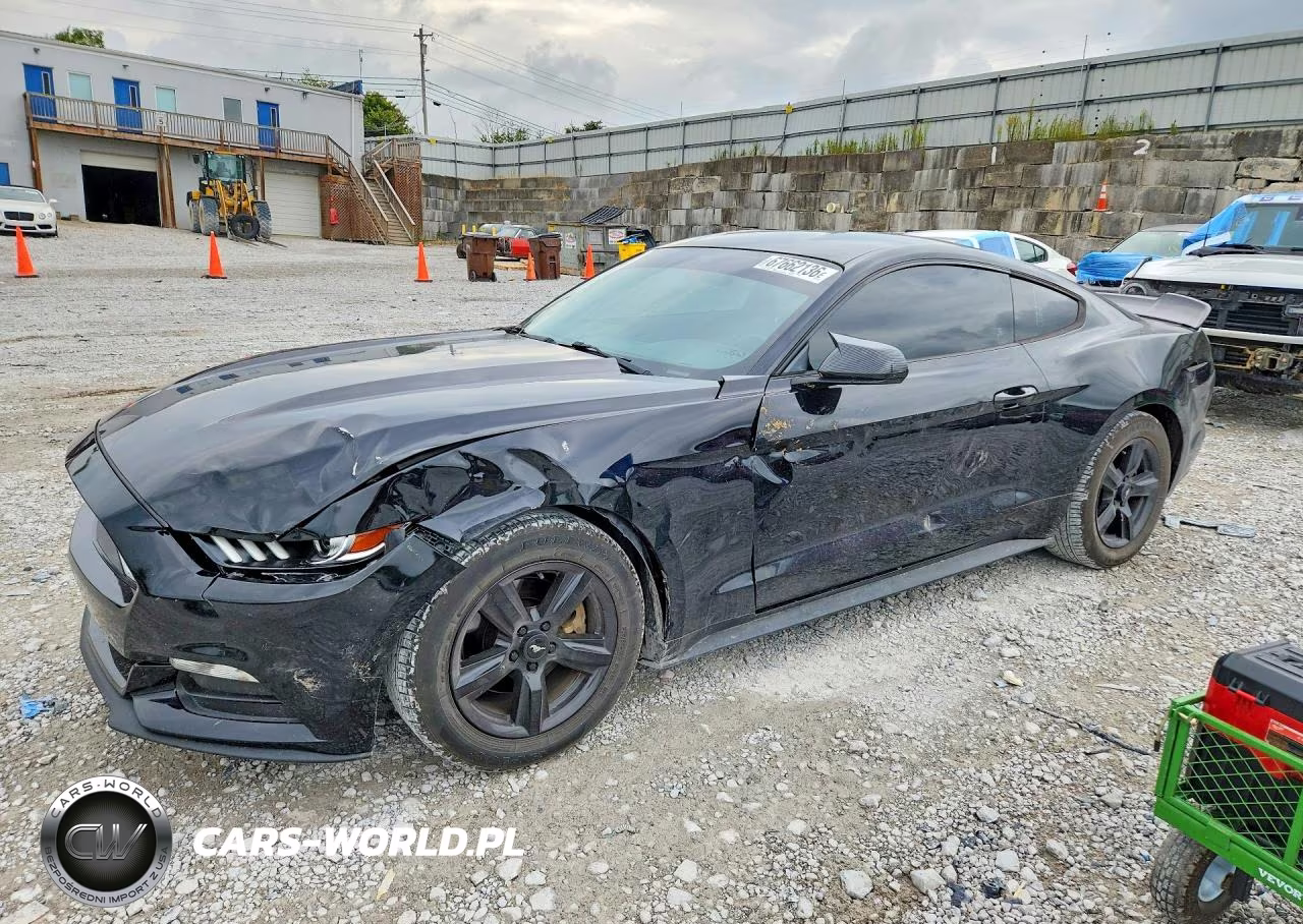 2017 Ford Mustang VIN:1FA6P8AM8H5301948 - 1