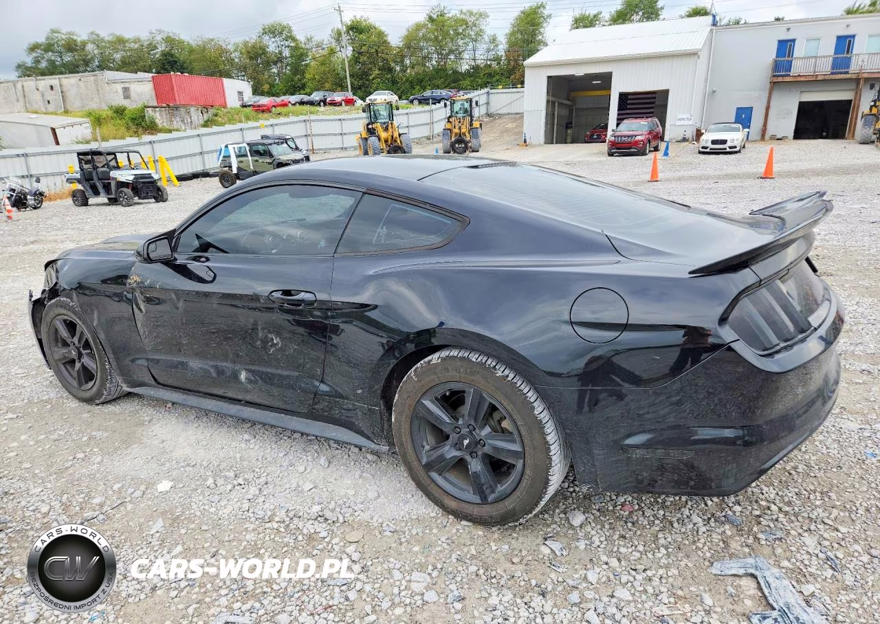 2017 Ford Mustang VIN:1FA6P8AM8H5301948 - 2