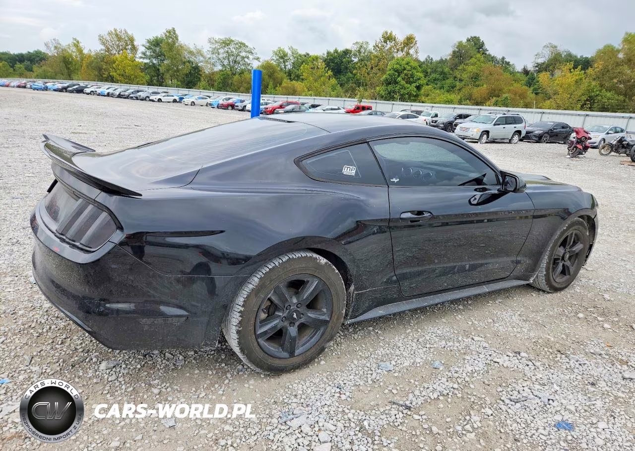 2017 Ford Mustang VIN:1FA6P8AM8H5301948 - 3