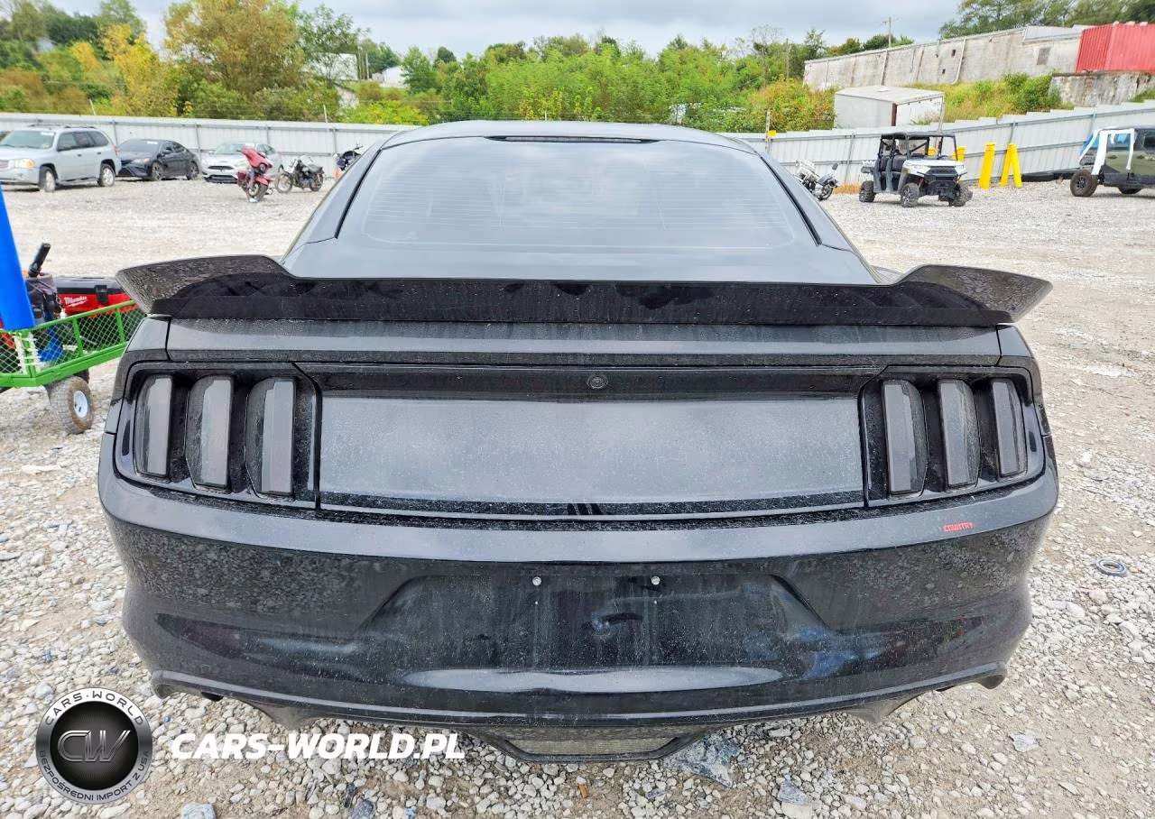 2017 Ford Mustang VIN:1FA6P8AM8H5301948 - 6