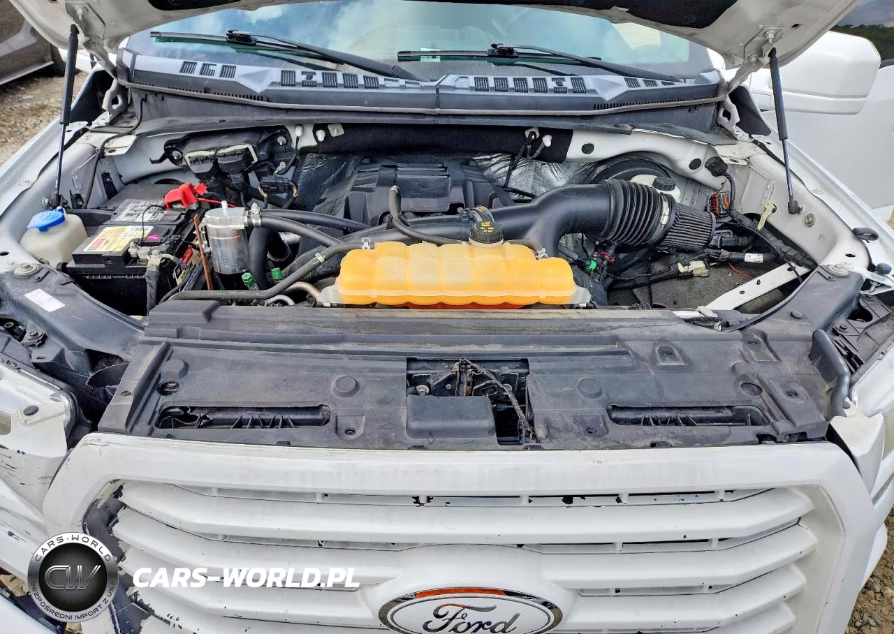 2017 Ford F150 Supercrew VIN:1FTEW1CP4HFA07917 - 11