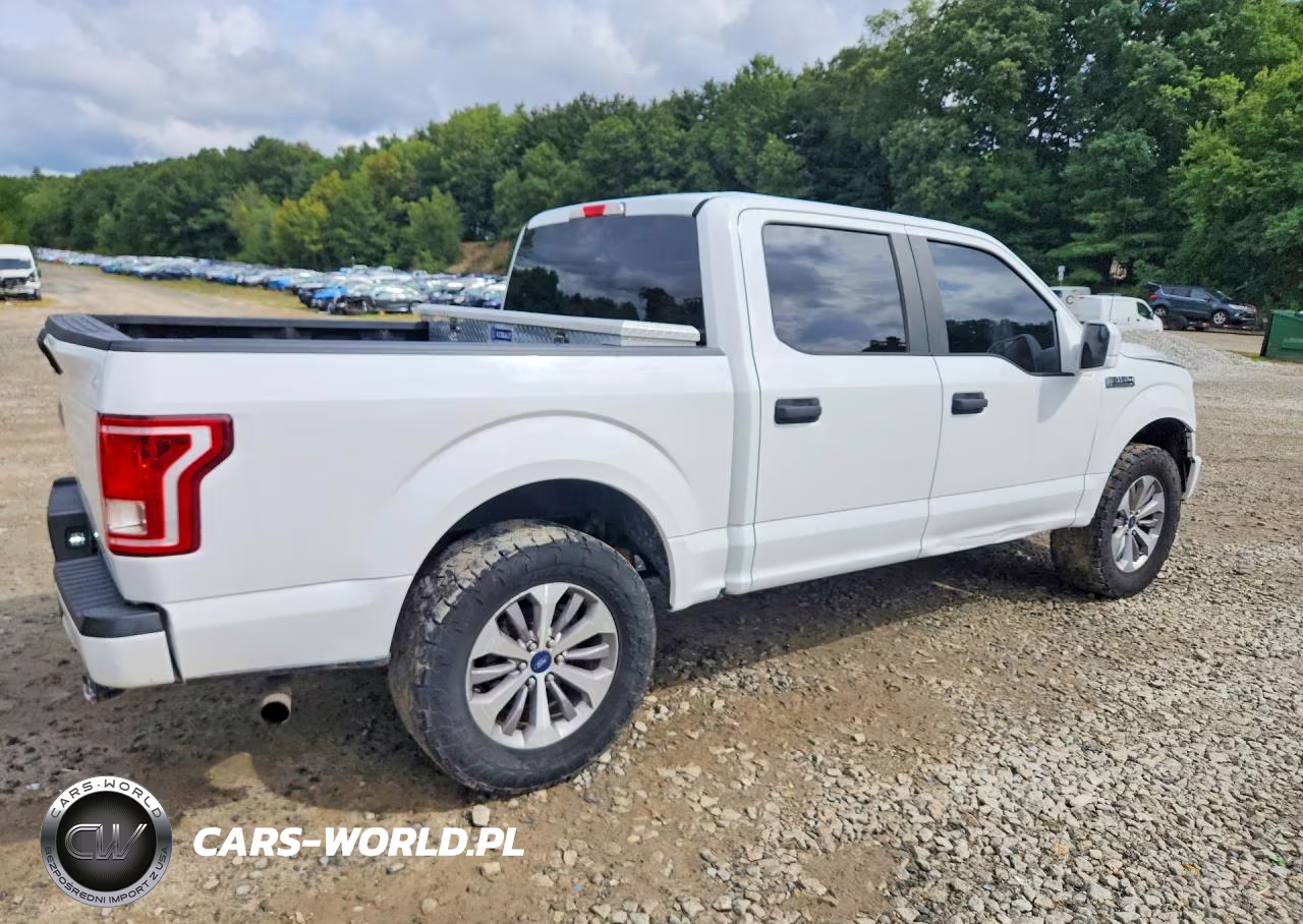 2017 Ford F150 Supercrew VIN:1FTEW1CP4HFA07917 - 3