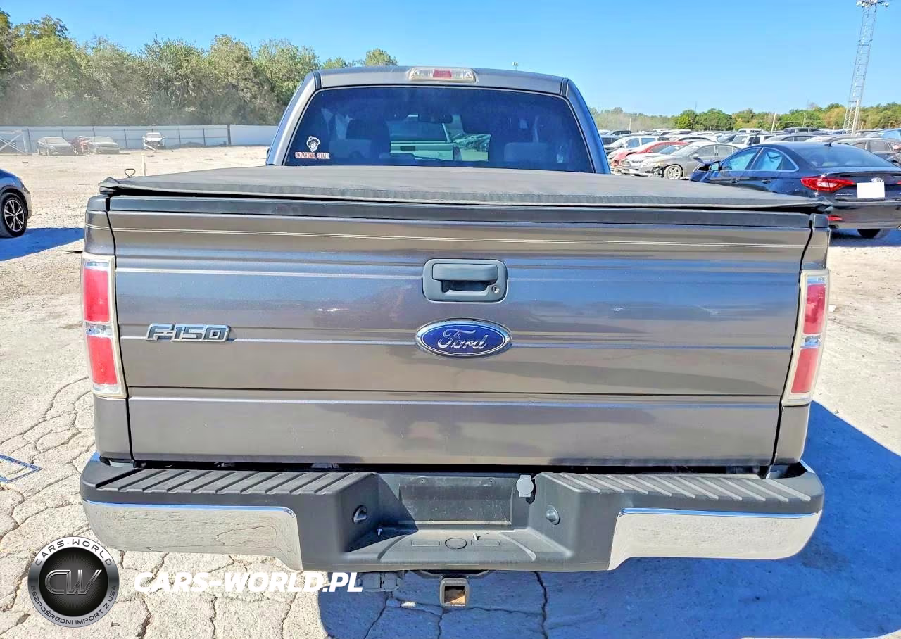2009 Ford F150 Super Cab VIN:1FTRX12829FB06262 - 6