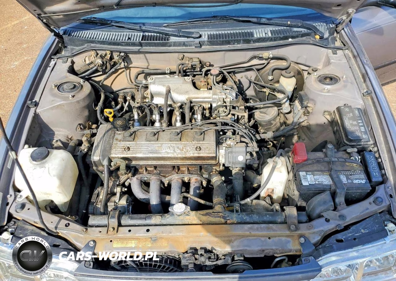1995 Toyota Corolla Dx VIN:1NXAE09B1SZ280478 - 11