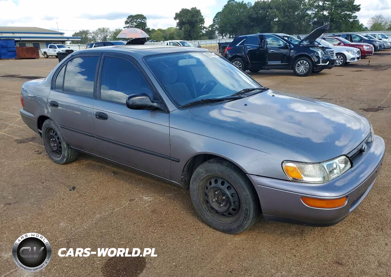 1995 Toyota Corolla Dx VIN:1NXAE09B1SZ280478 - 4
