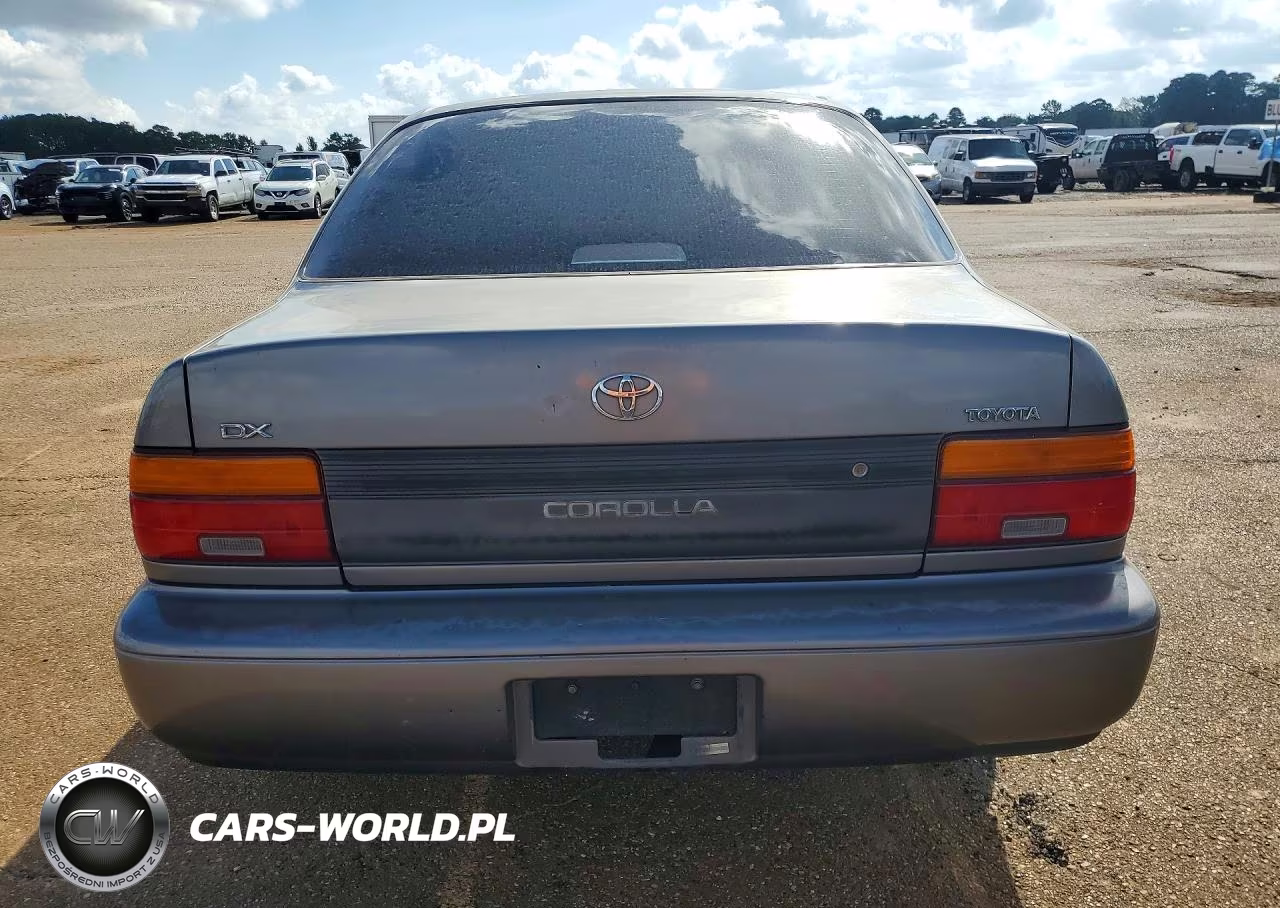 1995 Toyota Corolla Dx VIN:1NXAE09B1SZ280478 - 6