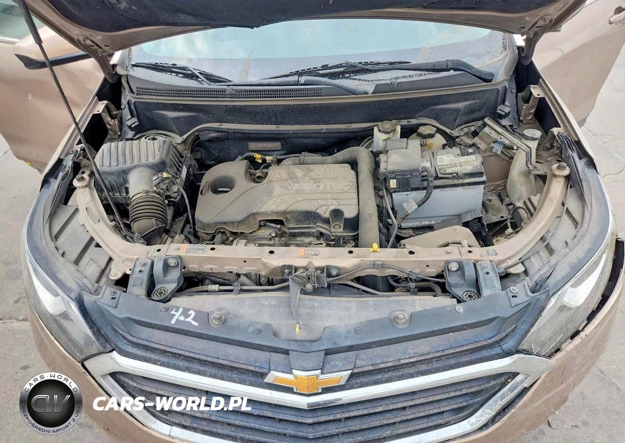 2019 Chevrolet Equinox Lt VIN:2GNAXKEV3K6201019 - 12