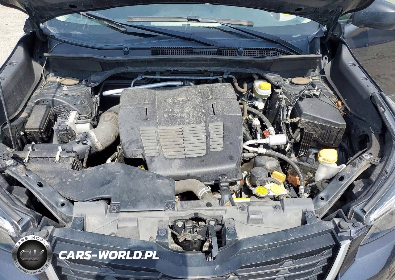 2019 Subaru Forester VIN:JF2SKACC4KH470293 - 12