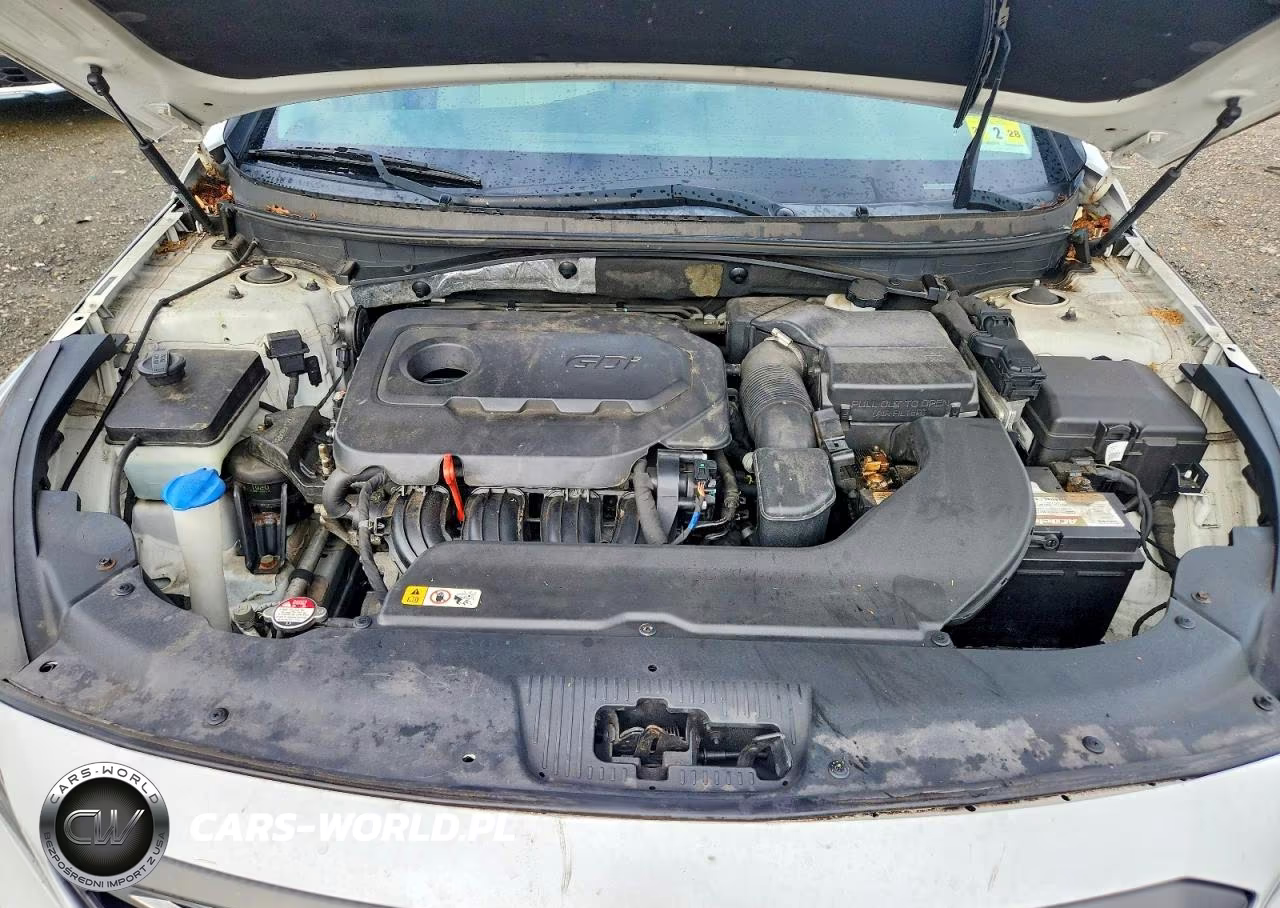 2016 Hyundai Sonata Se VIN:5NPE24AF2GH363472 - 11
