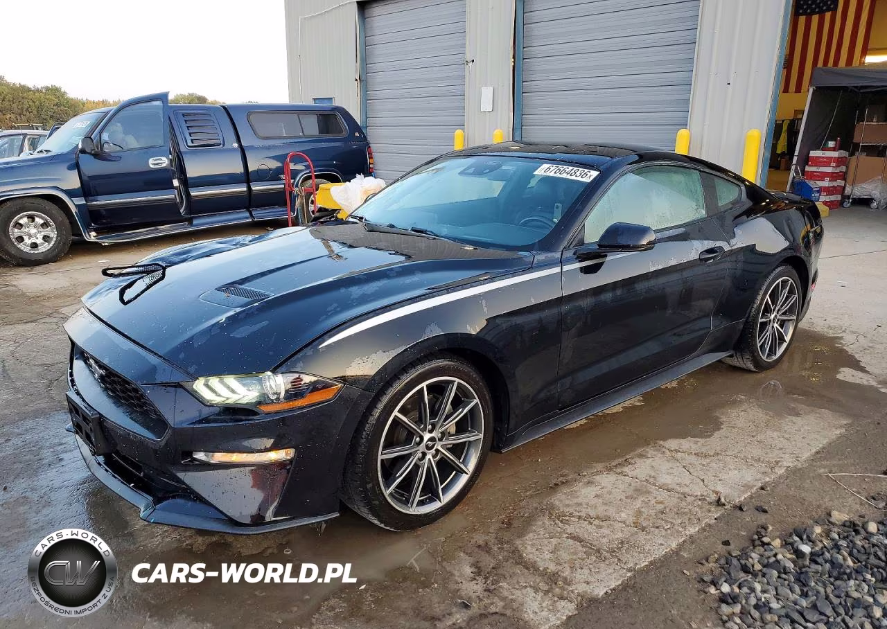 2019 Ford Mustang