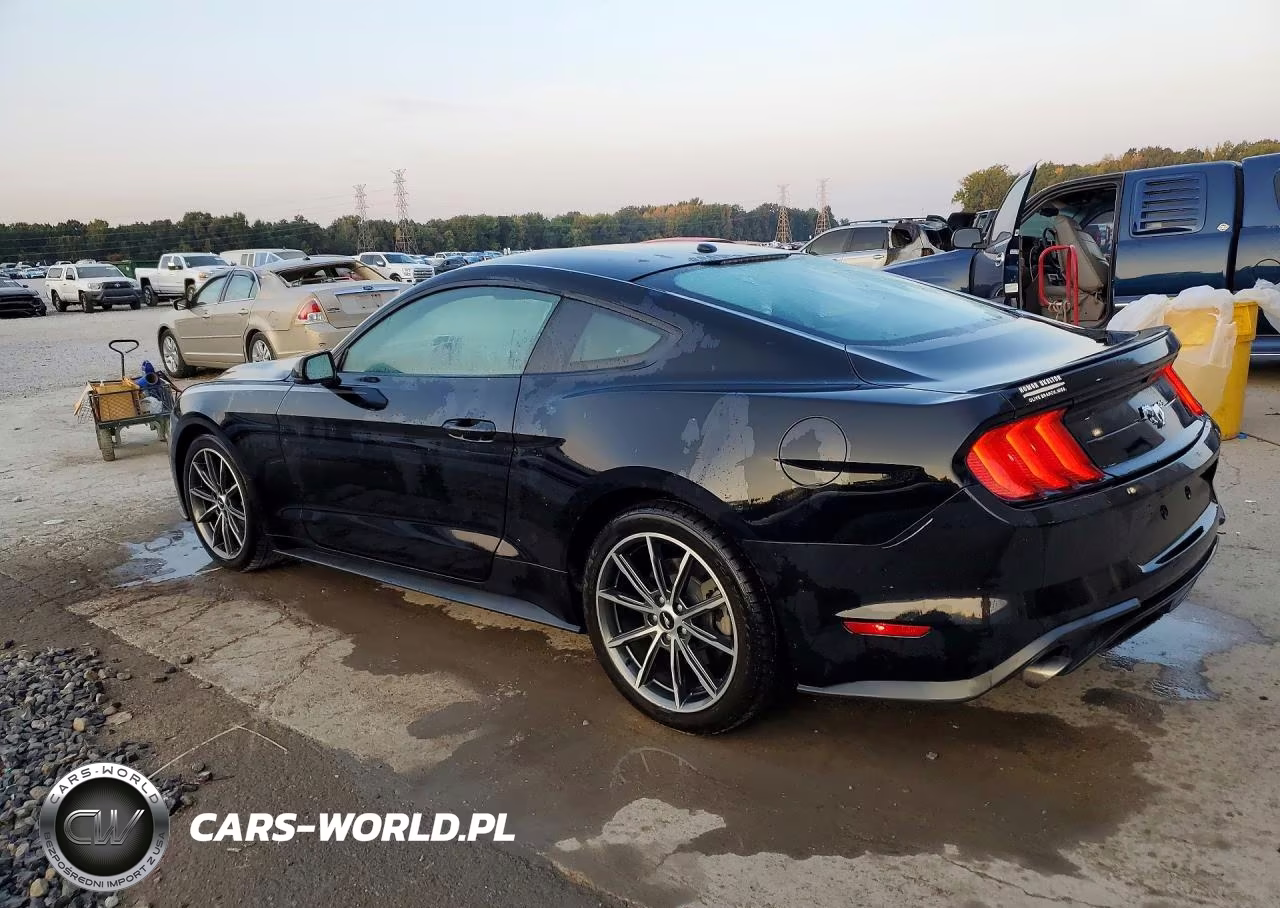 2019 Ford Mustang VIN:1FA6P8TH4K5158777 - 2