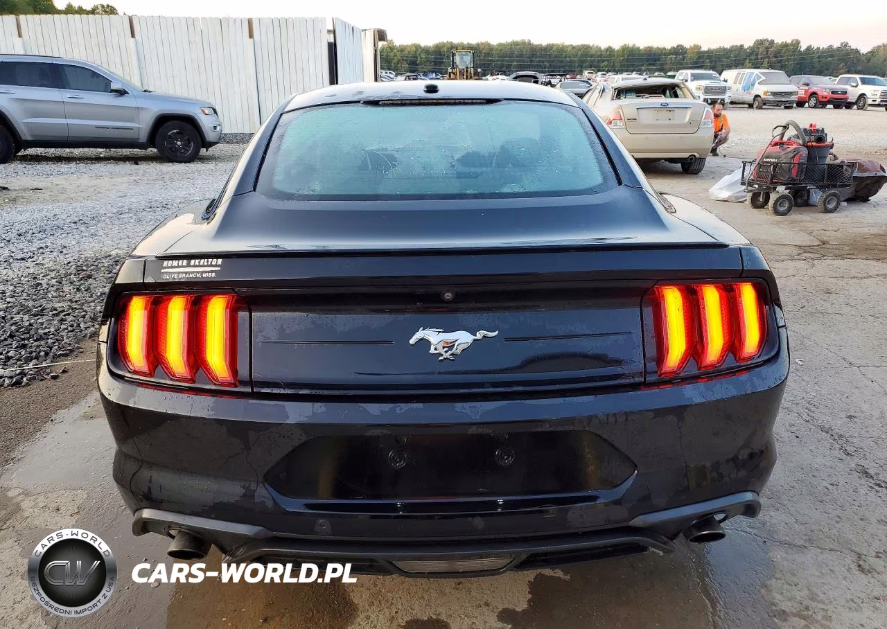 2019 Ford Mustang VIN:1FA6P8TH4K5158777 - 6