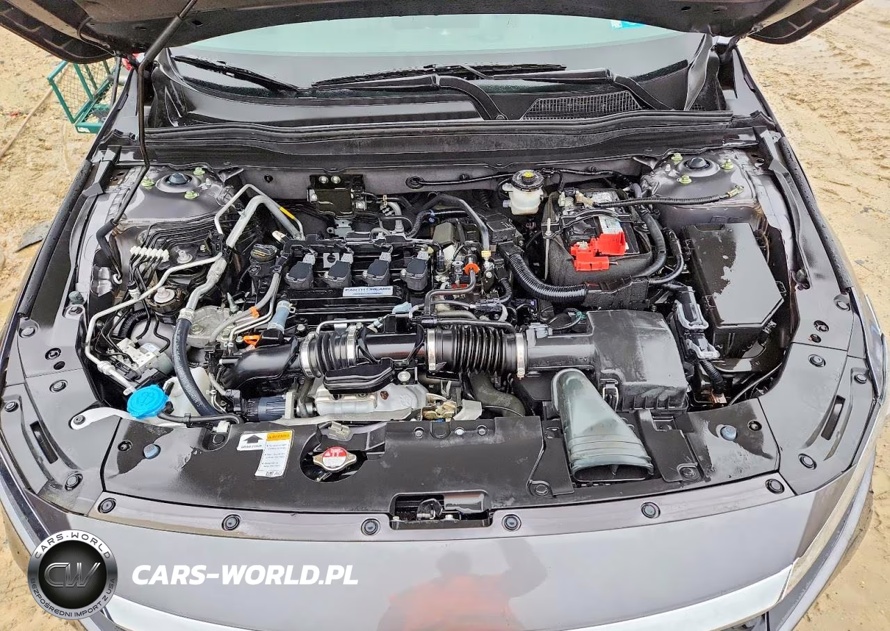 2019 Honda Accord Lx VIN:1HGCV1F13KA046649 - 11
