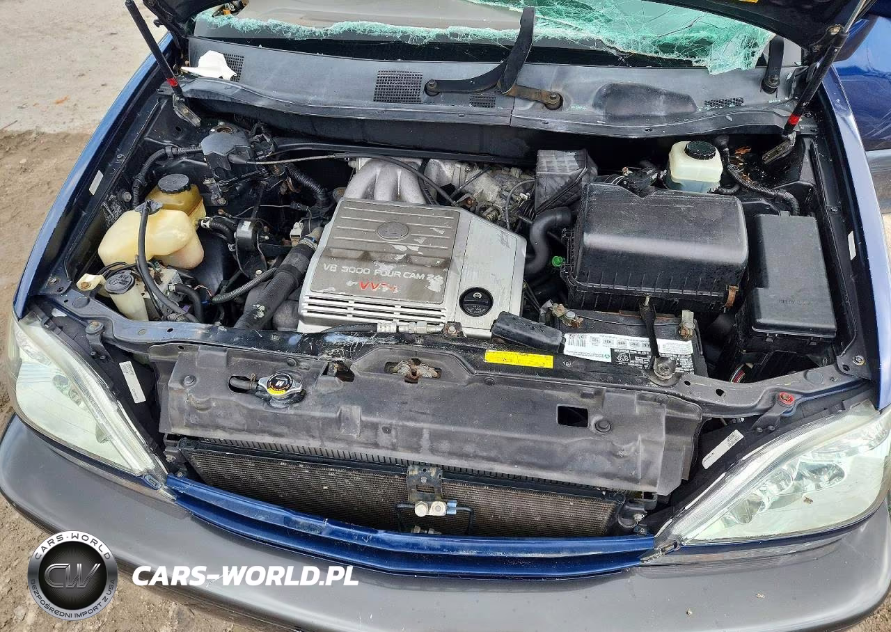 2001 Lexus Rx 300 VIN:JTJHF10U610198141 - 12