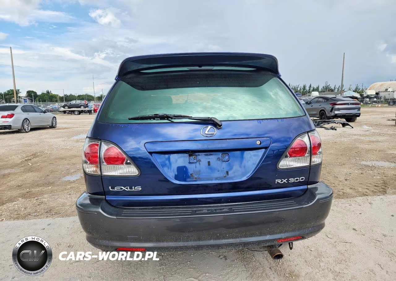 2001 Lexus Rx 300 VIN:JTJHF10U610198141 - 6