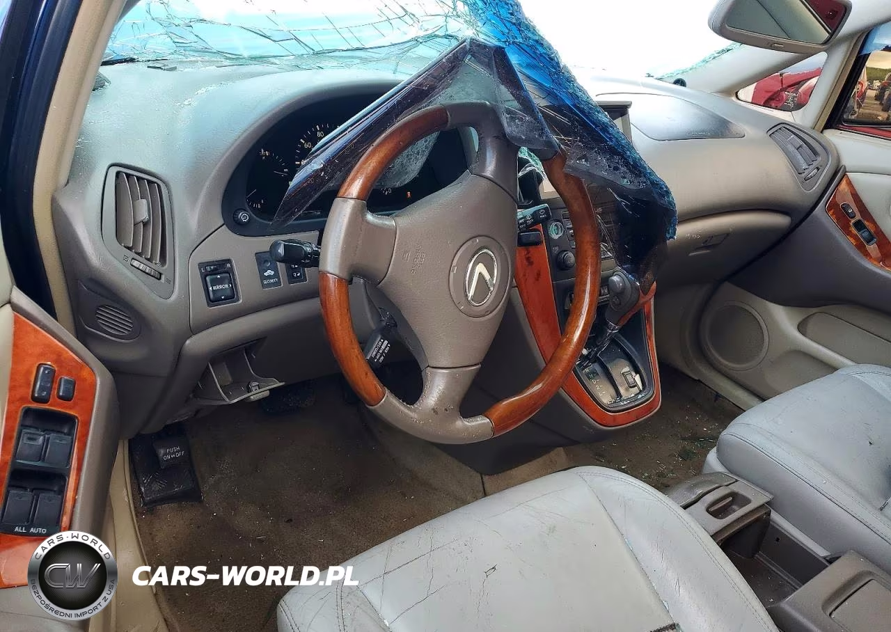 2001 Lexus Rx 300 VIN:JTJHF10U610198141 - 8