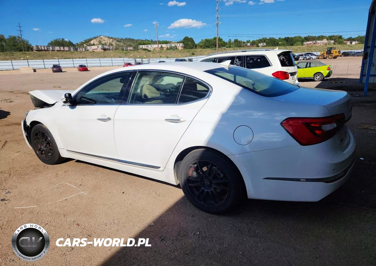 2014 Kia Cadenza Premium VIN:KNALN4D78E5147882 - 2