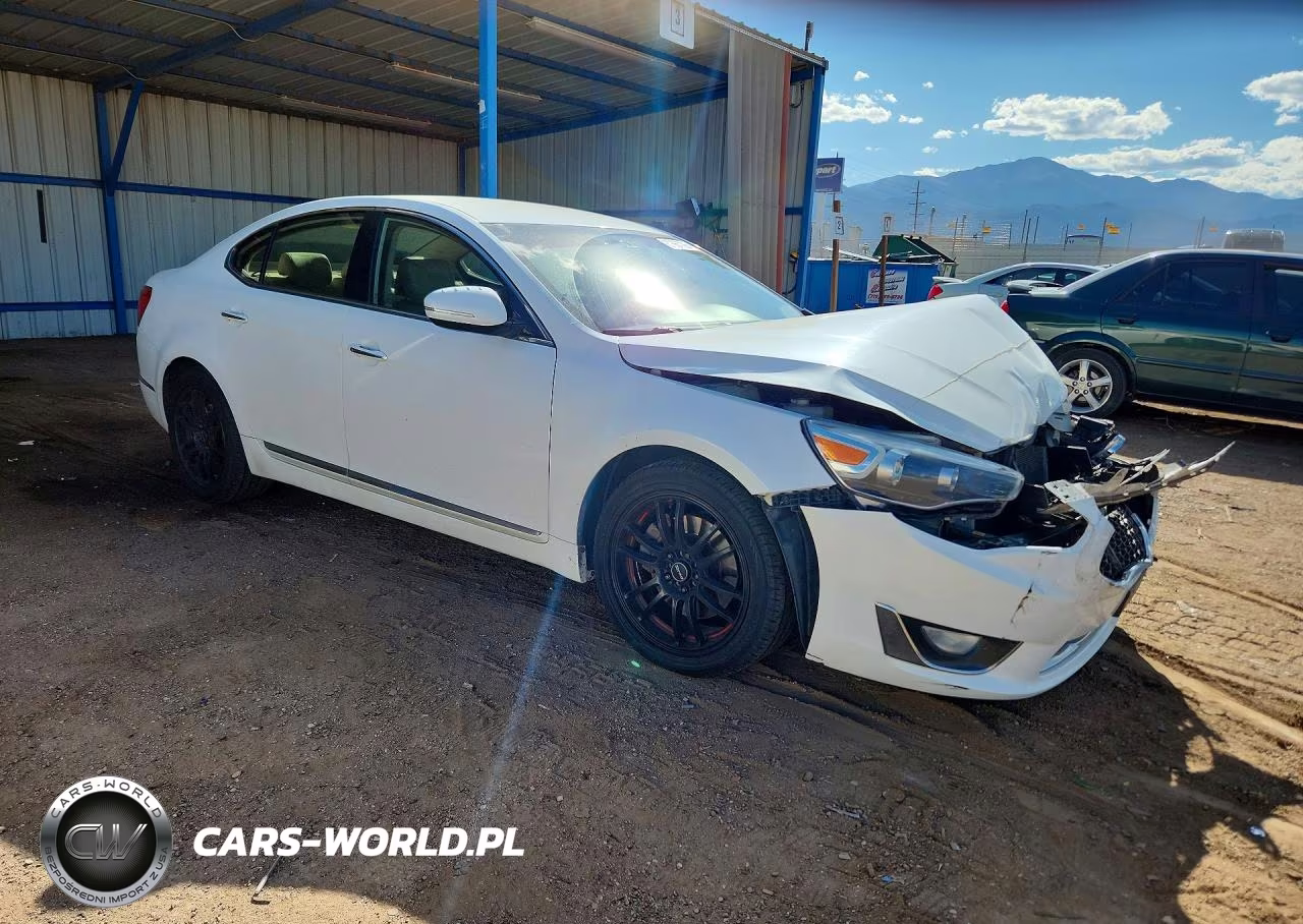 2014 Kia Cadenza Premium VIN:KNALN4D78E5147882 - 4