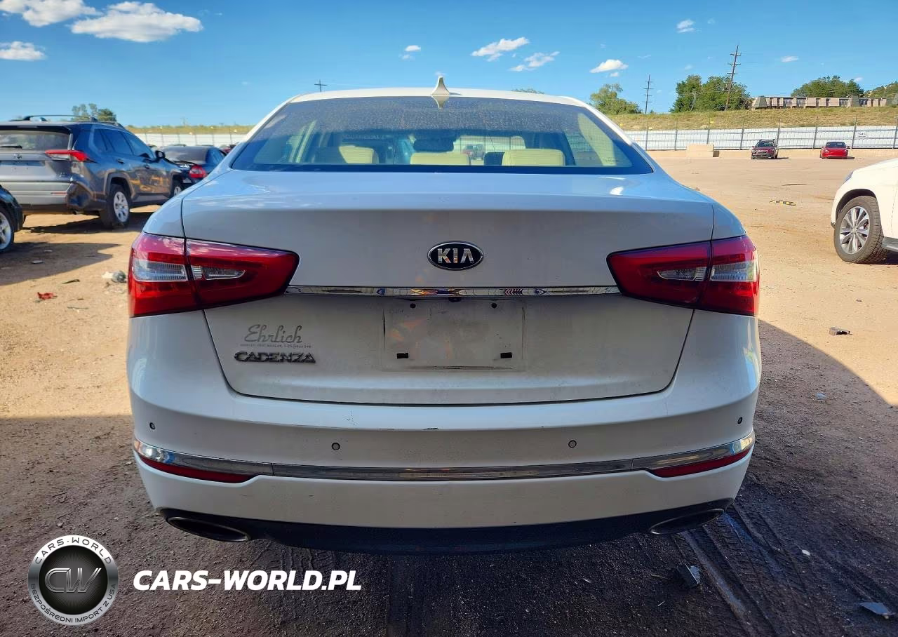 2014 Kia Cadenza Premium VIN:KNALN4D78E5147882 - 6