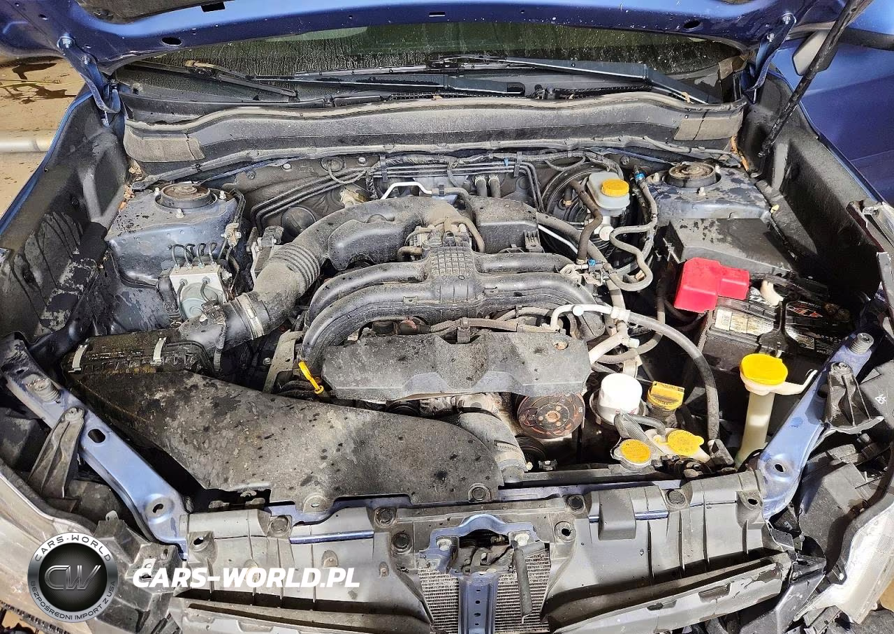 2016 Subaru Forester 2.5I Limited VIN:JF2SJAHC1GH524880 - 12