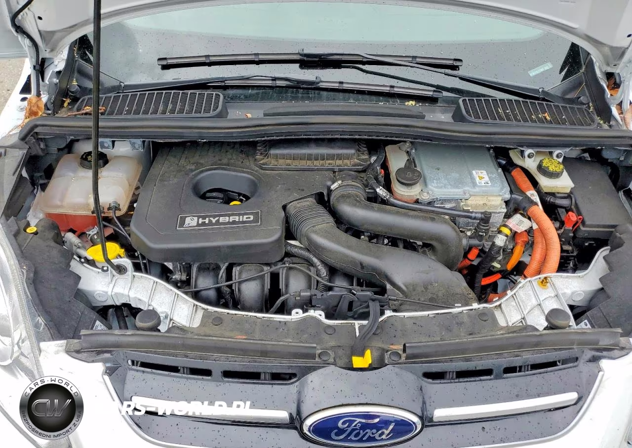 2016 Ford C-Max Sel VIN:1FADP5BU1GL112993 - 12