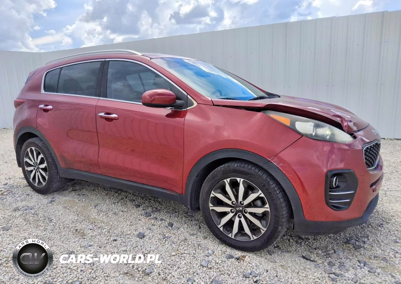 2017 Kia Sportage Ex VIN:KNDPN3AC9H7235316 - 4