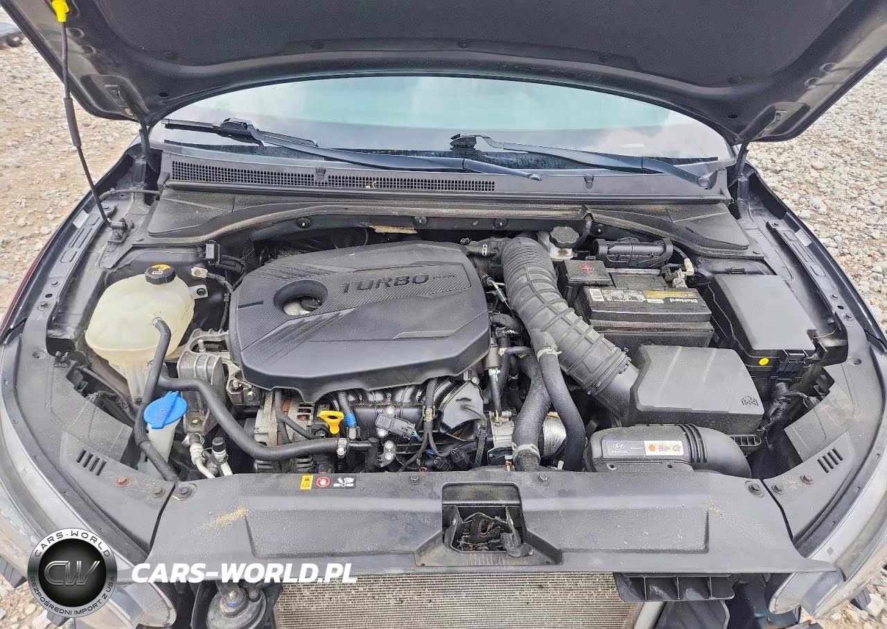 2019 Hyundai Veloster Turbo 1.6T VIN:KMHTH6AB6KU002027 - 11