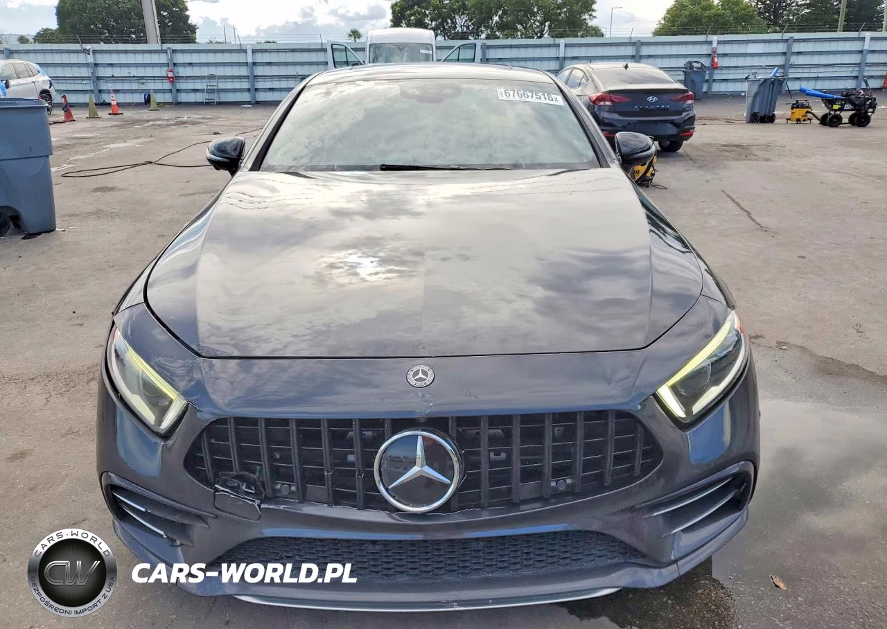 2019 Mercedes-Benz Cls Amg 53 4Matic VIN:WDD2J6BB7KA019865 - 5